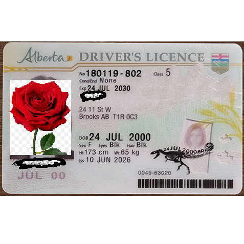 Canada - Alberta Scannable Driver License