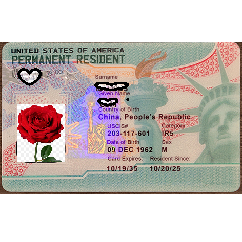 United States Permanent Resident card