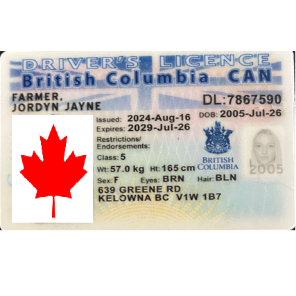 BC fake id, canada fake id, fake id, drivers license,fake ids, fake id generator