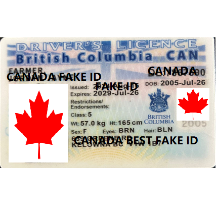 Buy Fake ID Online  British Columbia - USA BEST FAKE ID