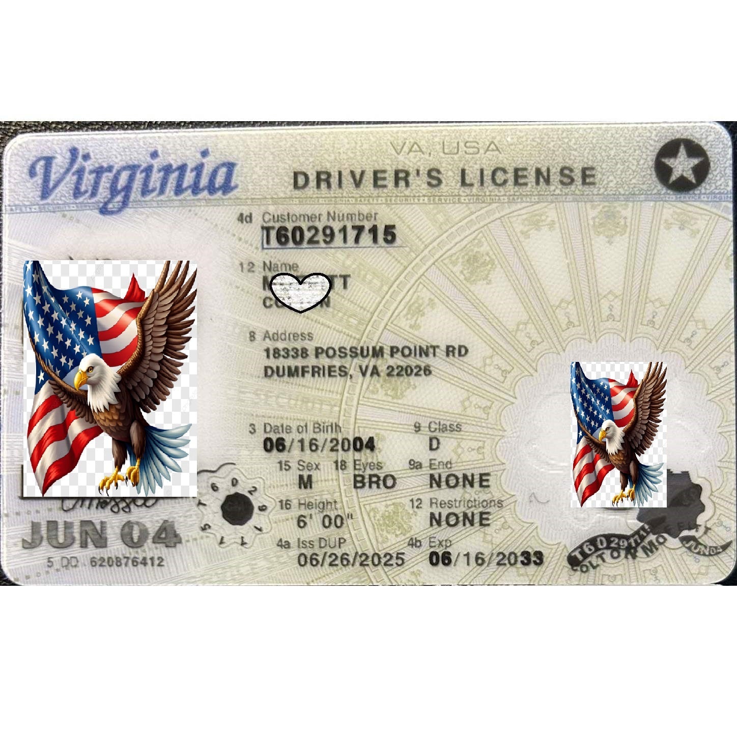 Virginia driver's license Virginia fake ID | USA BEST FAKE ID
