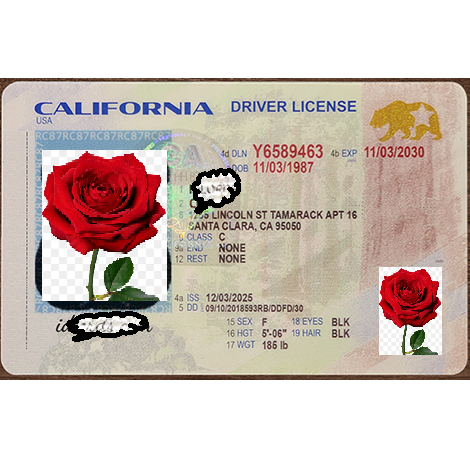 California driver license Newest 2026