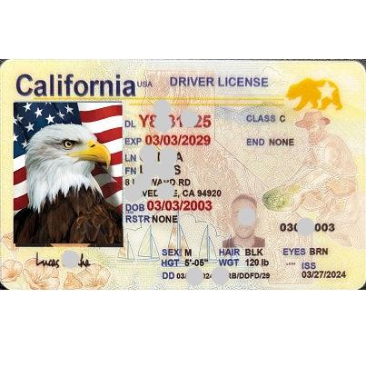 fake id ,
fake ids,
fake id maker,
fake id generator
 fake drivers license