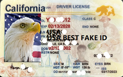 Virginia fake ID - USA BEST FAKE ID