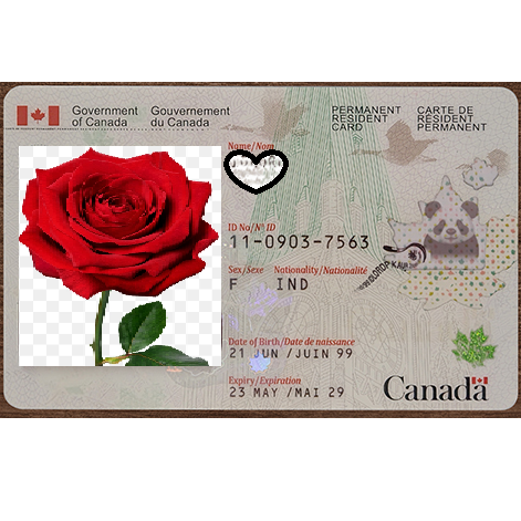 Canadian permanent resident card