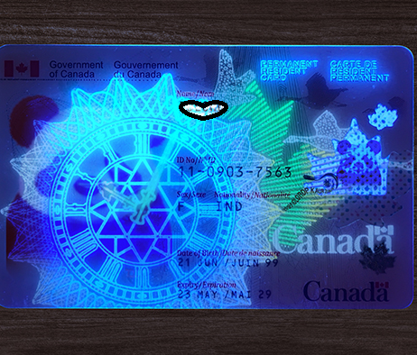 Canadian passport under a blacklight, showing glowing designs on a wooden surface.