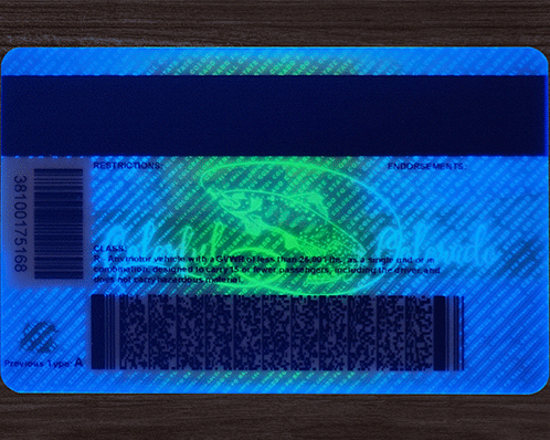 Colorado_Drivers Licence _Backside_UV_light