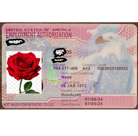 United States Employment Authorization Card