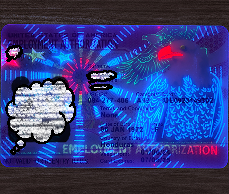 United States Employment Authorization Document with UV reactive elements