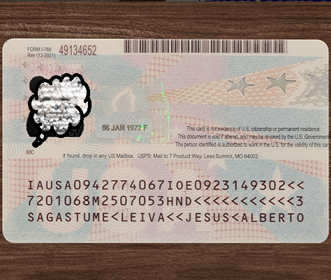 Employment Authorization Card back side