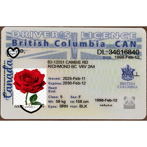 Canada - Newest 2025 British Columbia