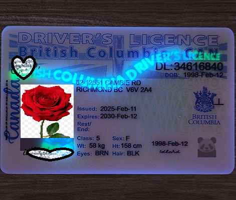 Canada - Newest 2025 British Columbia