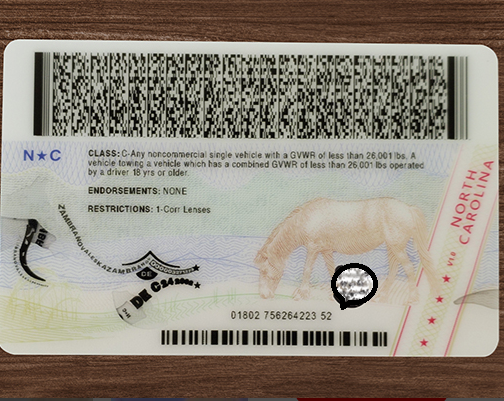 Close-up of a North Carolina driver's license with a bear graphic