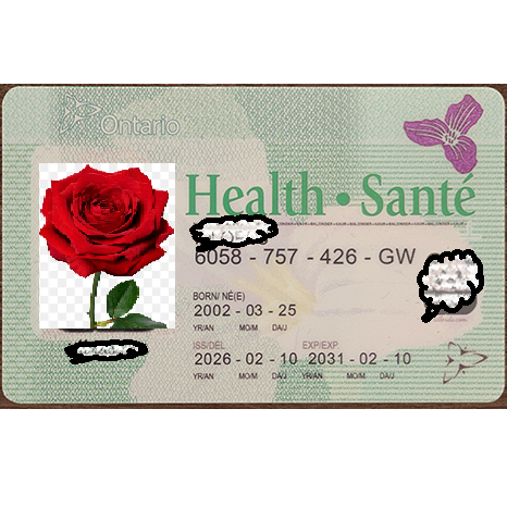 Canada Ontario Health card 2026