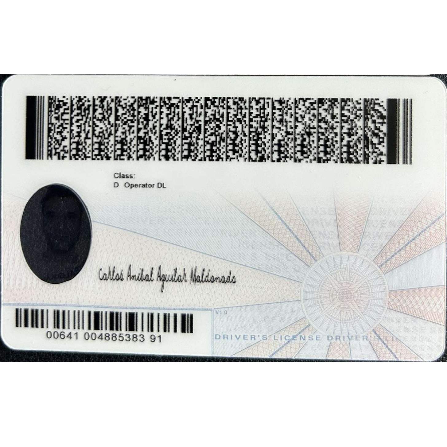 Virginia-driver's licerse  with a scannable barcode and text | USA BEST FAKE ID