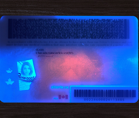 Canada - Alberta Scannable Driver License